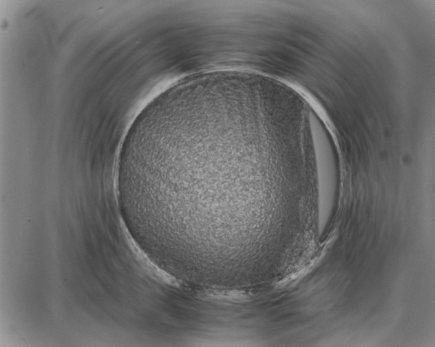 X0000087670957200705181701