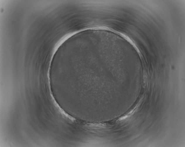 X0000087670959200705181701