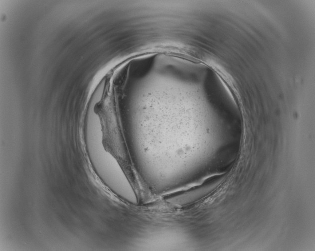 X0000087670960200705181701