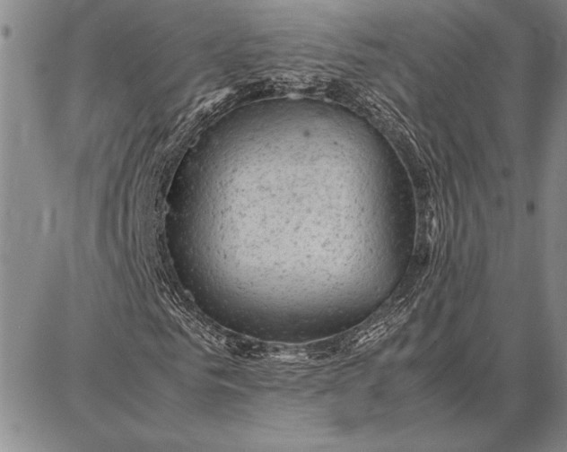 X0000087670961200705181701