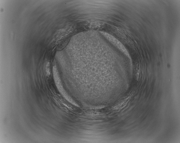 X0000087670962200705181701