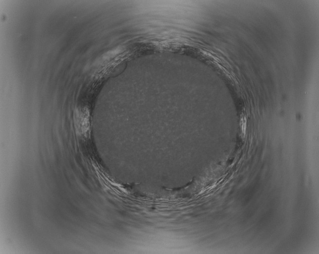 X0000087670963200705181701