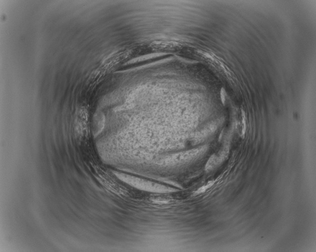 X0000087670964200705181700