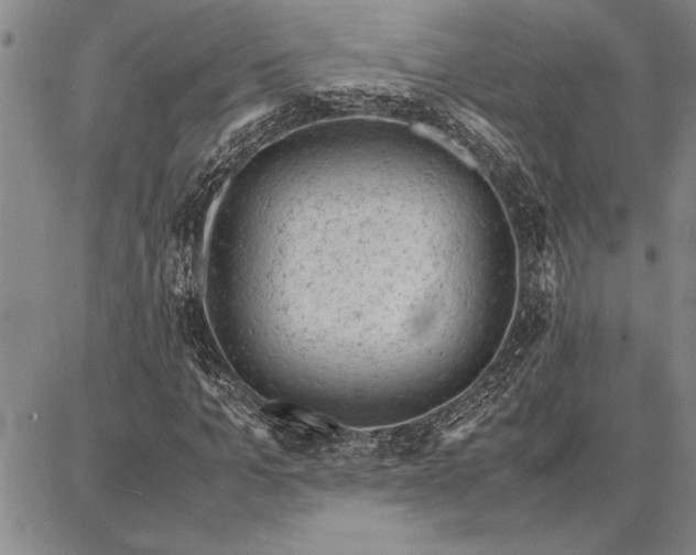 X0000087670965200705181700