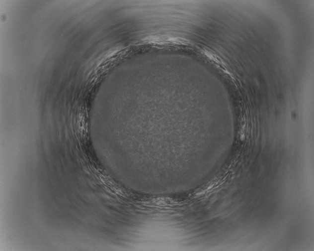 X0000087670966200705181700