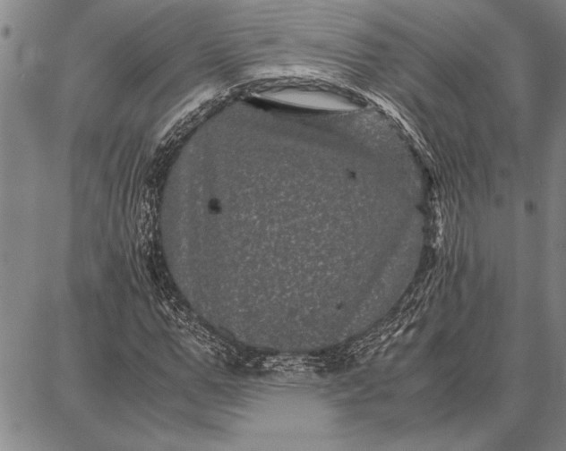 X0000087670967200705181700