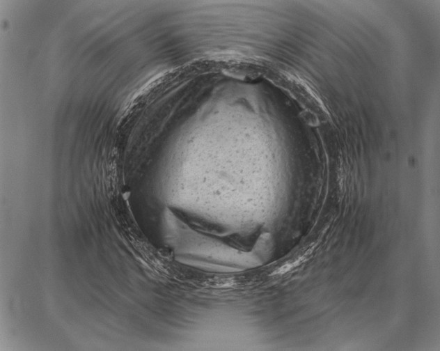 X0000087670968200705181700