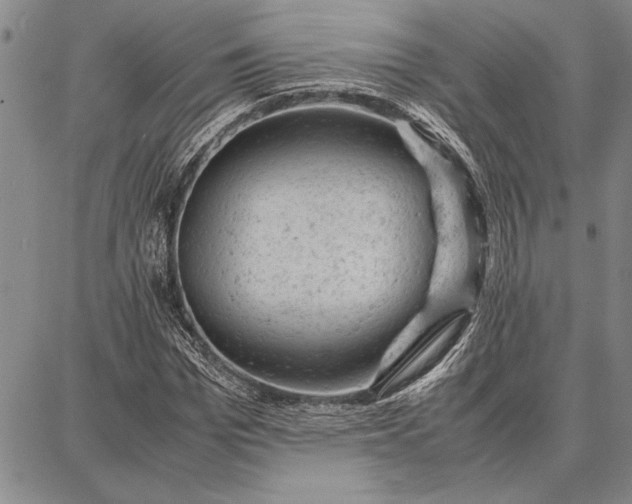 X0000087670969200705181700