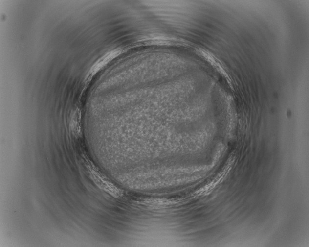 X0000087670970200705181700