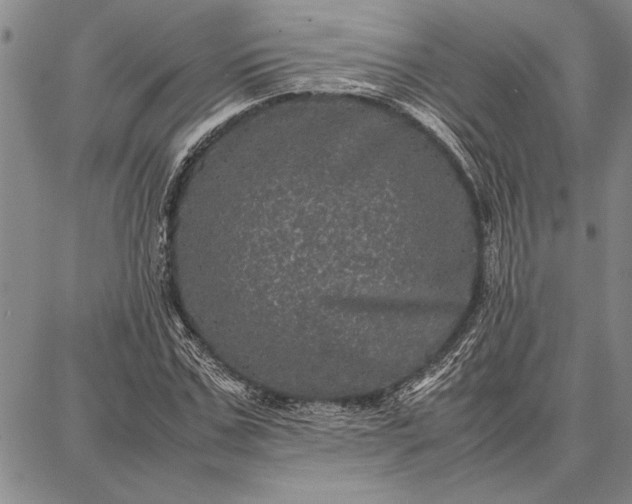 X0000087670971200705181700