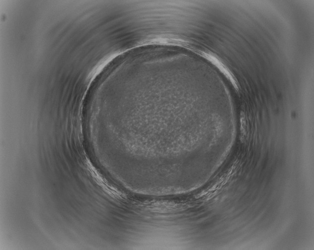 X0000087670972200705181700