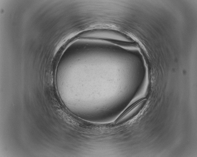 X0000087670973200705181700