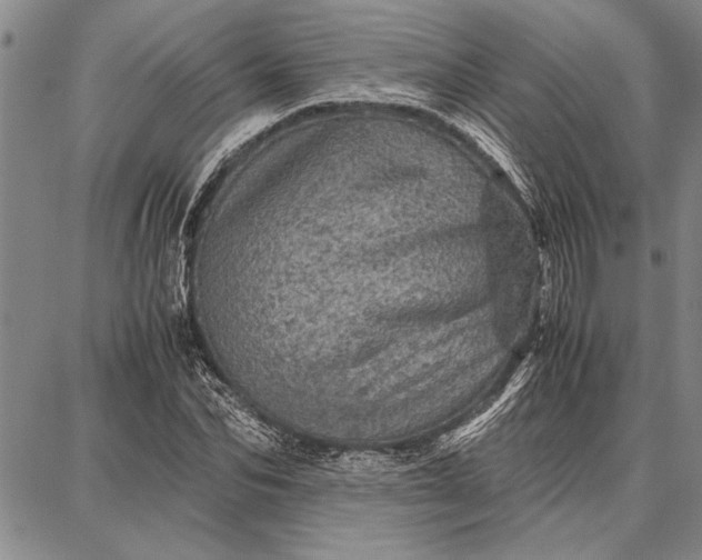 X0000087670974200705181700