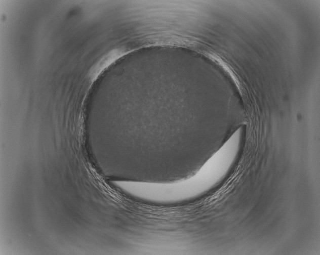 X0000087670975200705181700