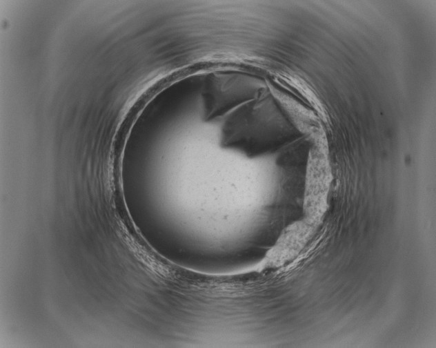 X0000087670976200705181700