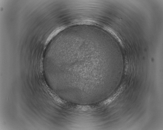 X0000087670978200705181700