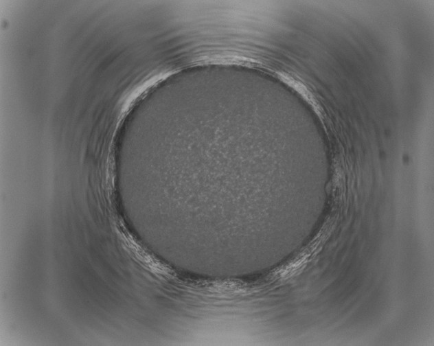 X0000087670979200705181700