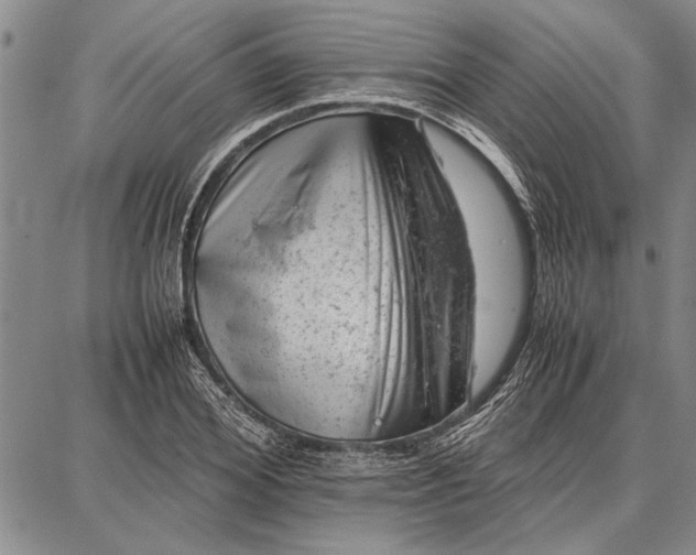 X0000087670980200705181700