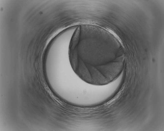 X0000087670981200705181700