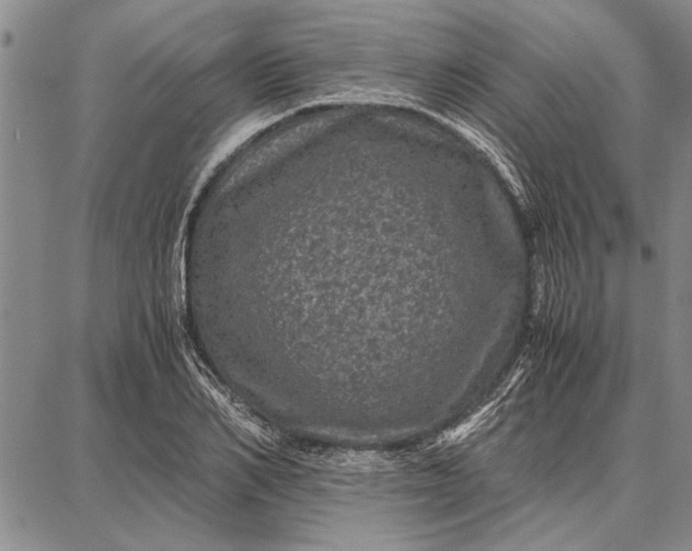 X0000087670982200705181700