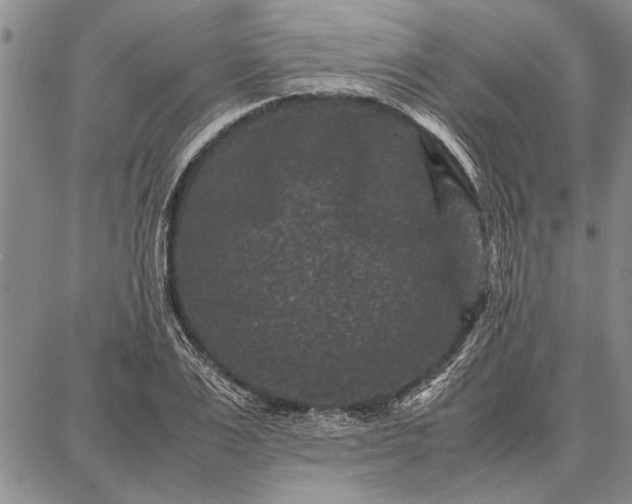 X0000087670983200705181700