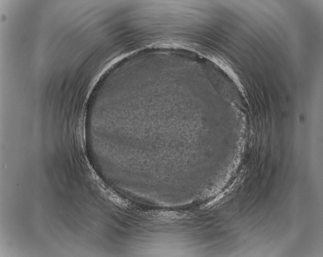 X0000087670984200705181700