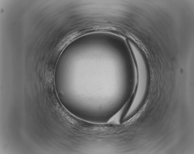 X0000087670985200705181700