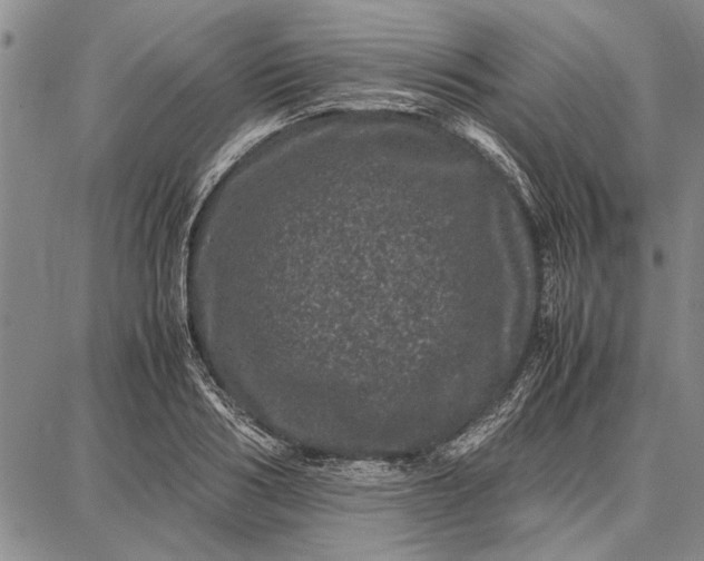 X0000087670986200705181700