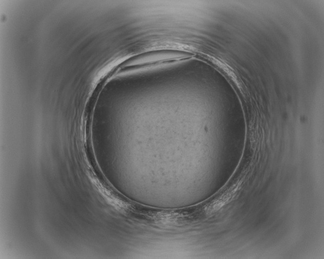 X0000087670987200705181700