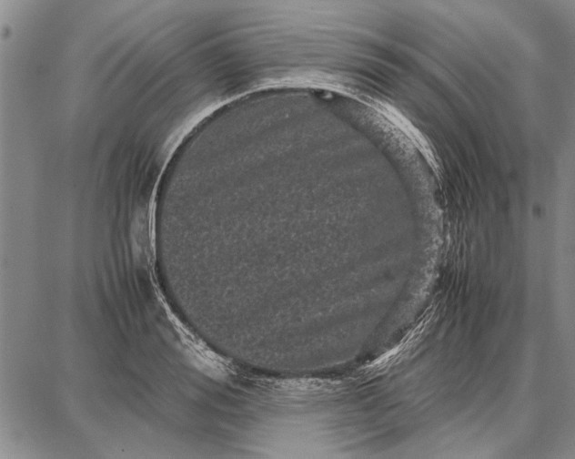 X0000087670988200705181700