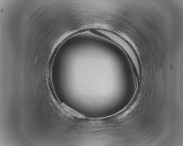 X0000087670989200705181700