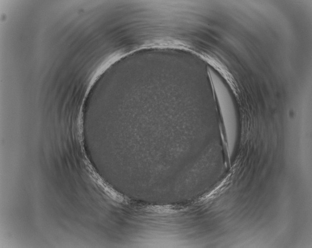 X0000087670990200705181700