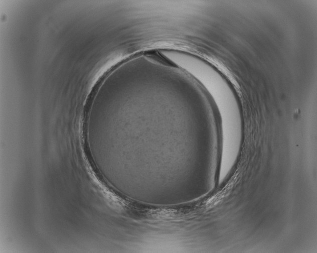 X0000087670991200705181700