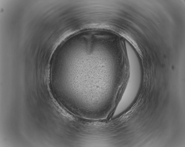 X0000087670992200705181700