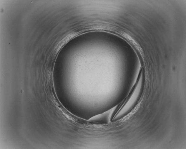 X0000087670993200705181700