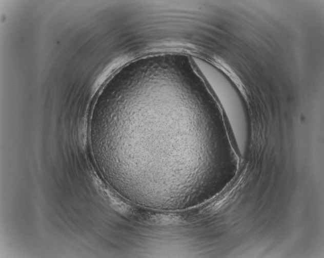 X0000087670994200705181700