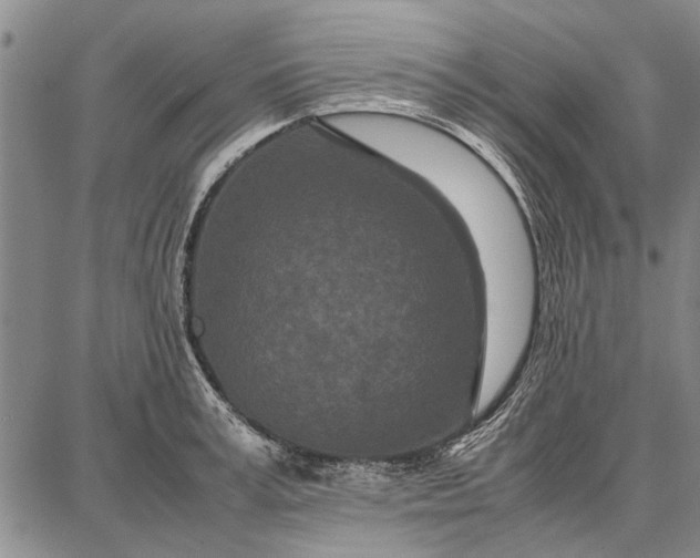 X0000087670995200705181700