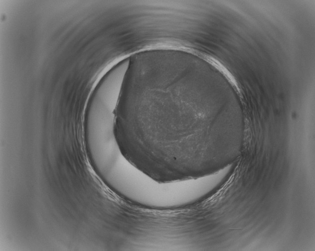 X0000087670996200705181700