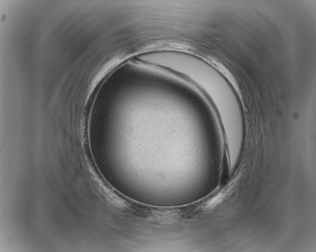 X0000087670997200705181700