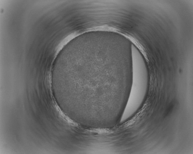 X0000087670998200705181700