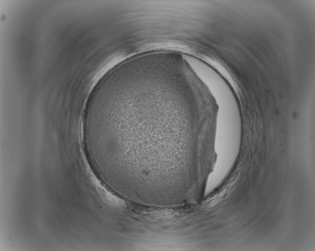 X0000087670999200705181700