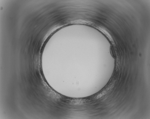 X0000087671000200705181700