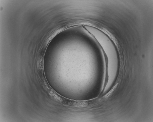 X0000087671001200705181700