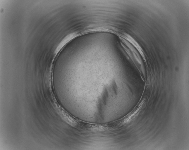 X0000087671002200705181700