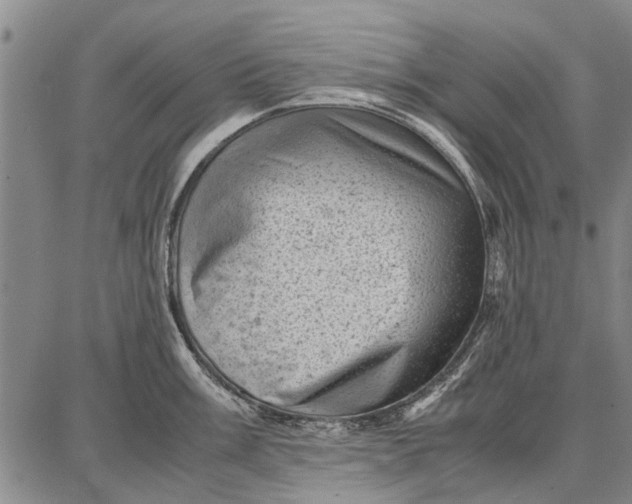 X0000087671003200705181700