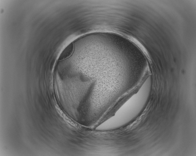 X0000087671004200705181700