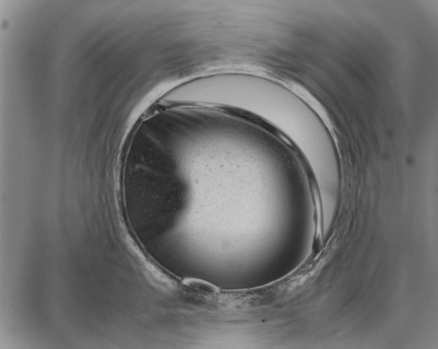 X0000087671005200705181700