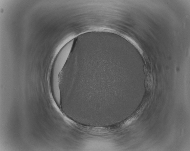 X0000087671007200705181700