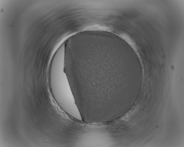 X0000087671008200705181700