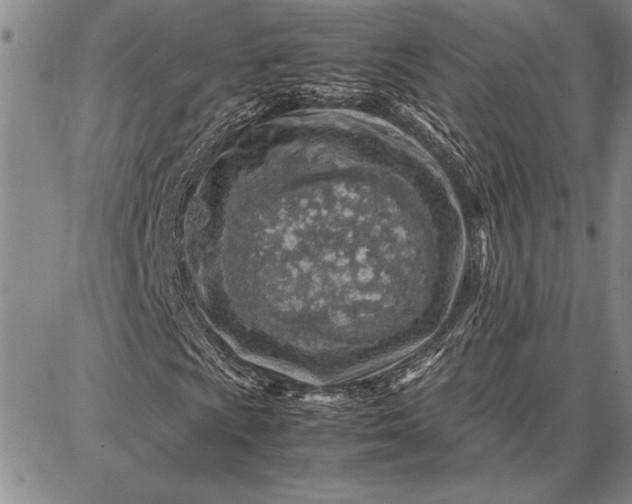 X0000087671009200705181659